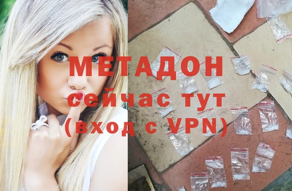 шишки Пересвет