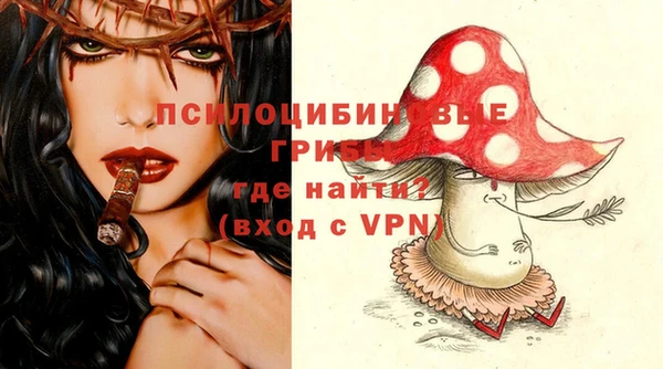 шишки Пересвет