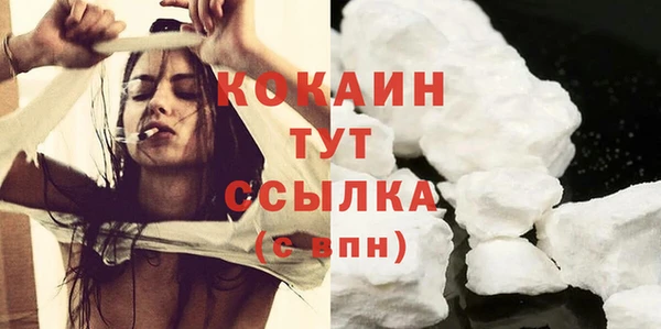 шишки Пересвет