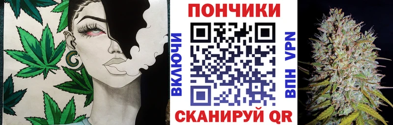 Шишки марихуана сатива  мега маркетплейс  Сорск 